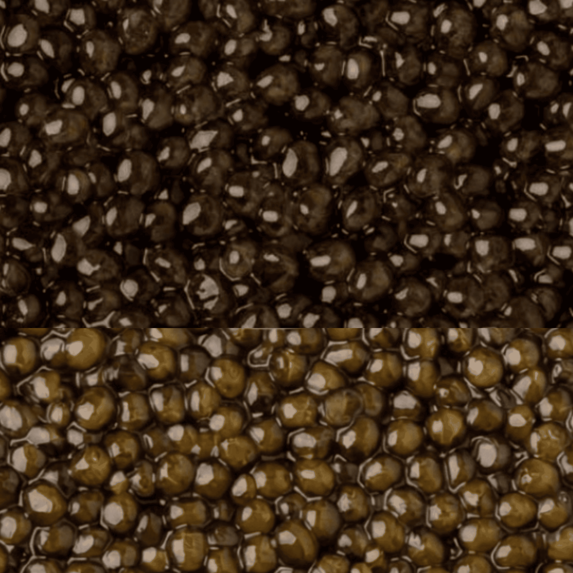 Early Easter Family Caviar Set (Ends FRI 6th March)