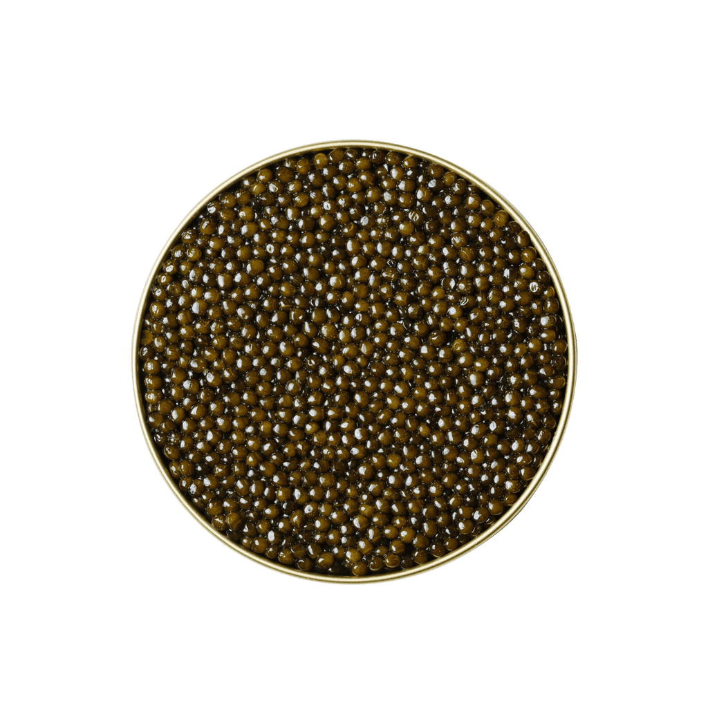 Kaluga Hybrid Caviar Australia | Premium Fresh Caviar | KHAVIYAR