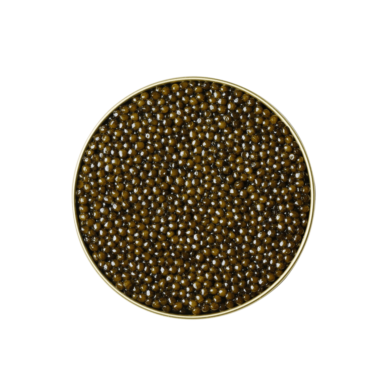 Kaluga Hybrid Caviar Australia | Premium Fresh Caviar | KHAVIYAR