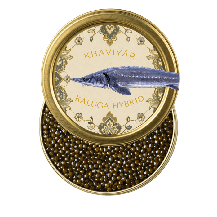 Kaluga Hybrid Caviar Australia | Premium Fresh Caviar | KHAVIYAR