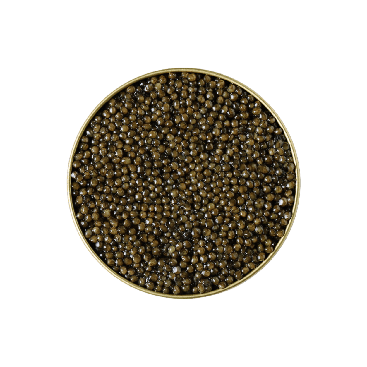 Kaluga Caviar Australia | Premium Fresh Caviar | KHAVIYAR