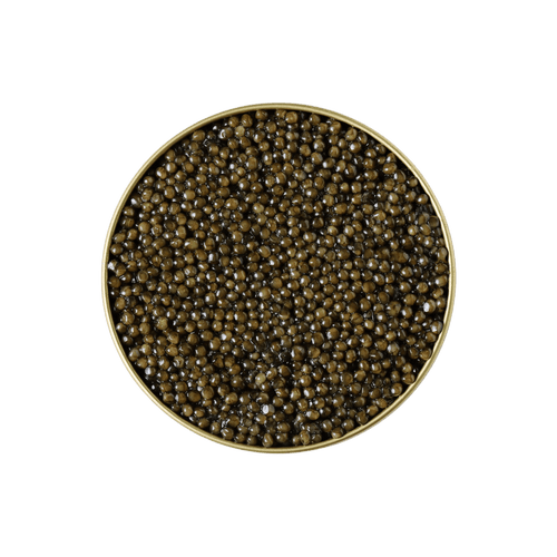 Kaluga Caviar Australia | Premium Fresh Caviar | KHAVIYAR