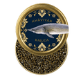 Kaluga Caviar Australia | Premium Fresh Caviar | KHAVIYAR