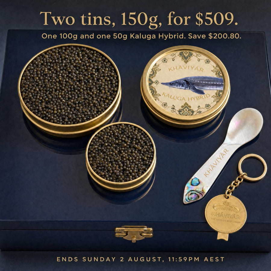 Kaluga Hybrid caviar up close, from the KHAVIYAR Hybrid Flash